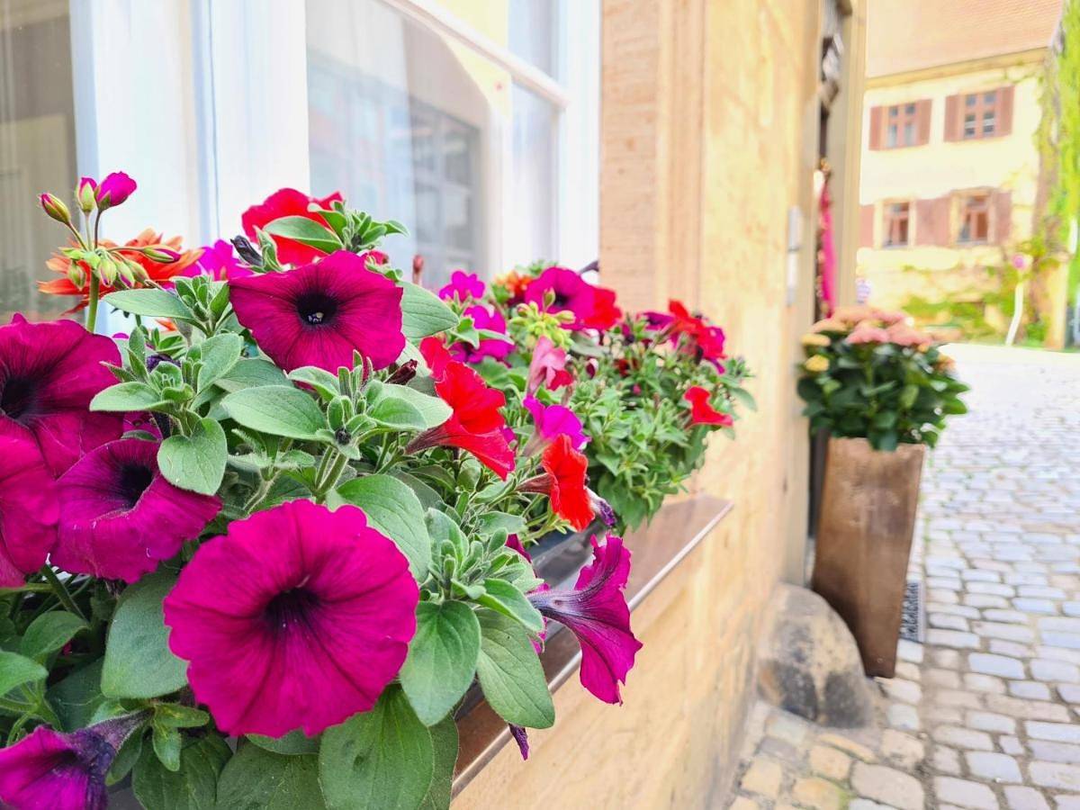 Altstadthotel Molitor in Bamberg, Région viticole de Franconie