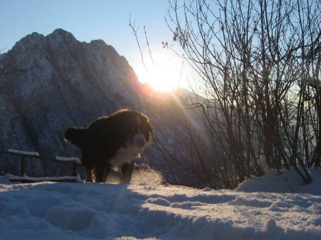 Niederwaldhaus in Solto Collina in Gemeinde Solto Collina, Iseosee
