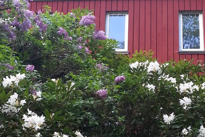 Ferienhaus für 10 Personen, mit Garten und Terrasse in Bad Sachsa