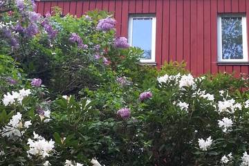 Ferienhaus für 10 Personen, mit Terrasse und Garten in Bad Sachsa