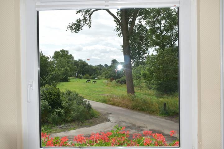 Bauernhof für 4 Personen, mit Garten und Terrasse in Niedersachsen - 3