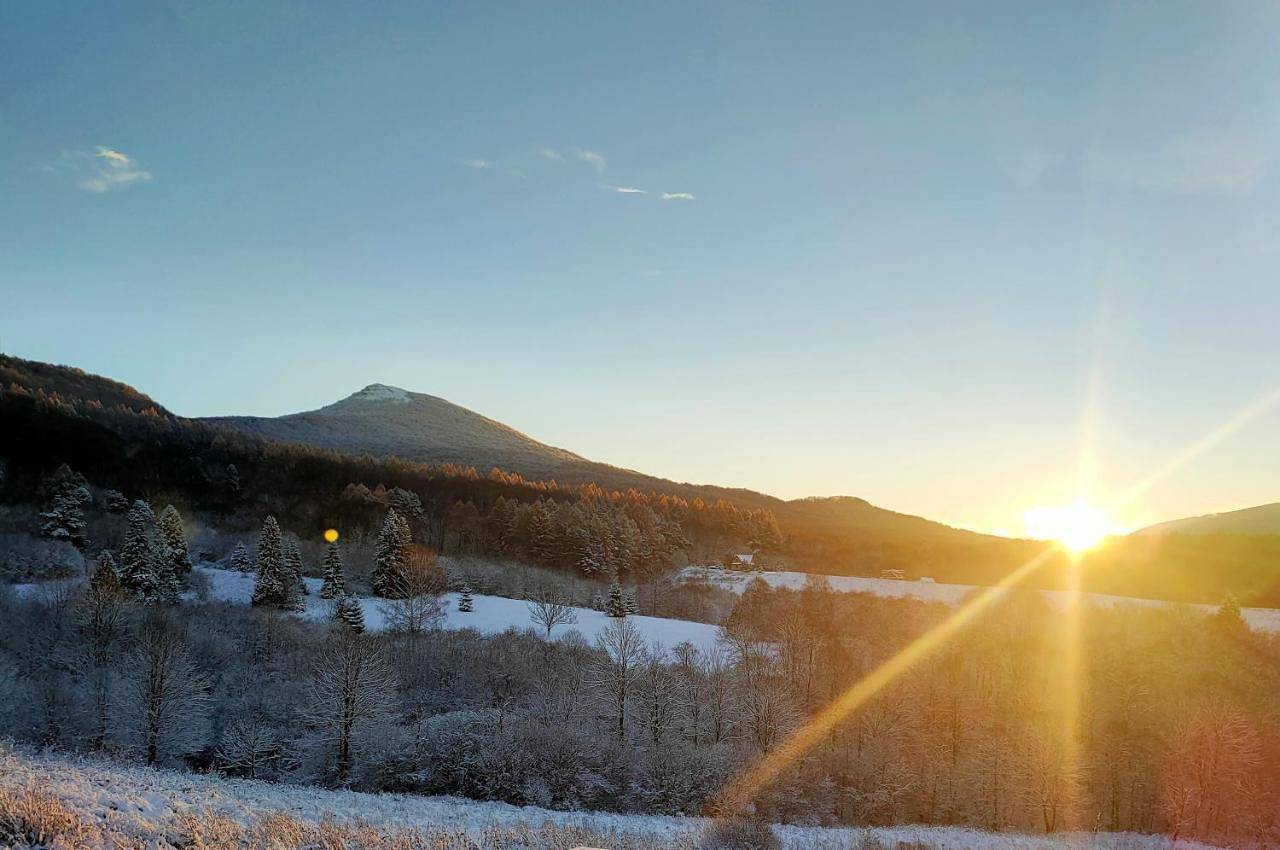 Double Room with Mountain View in Bieszczady