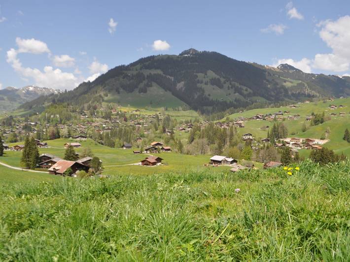 Gîte pour 4 personnes, avec balcon dans Gstaad - 3