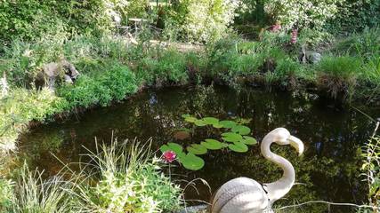 Vakantiewoning voor 4 Personen in Alzey, Rijn-Hessen, Afbeelding 4