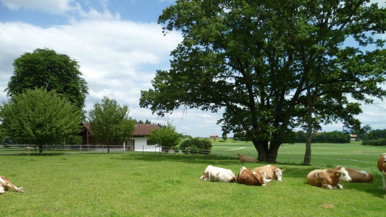 Ferienhaus für 6 Personen (55 m²) in Gstadt am Chiemsee in Gstadt am Chiemsee, Chiemsee