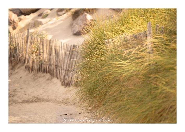 Location de vacances pour 2 personnes, avec vue et jardin, animaux acceptés dans Stella Plage - 4