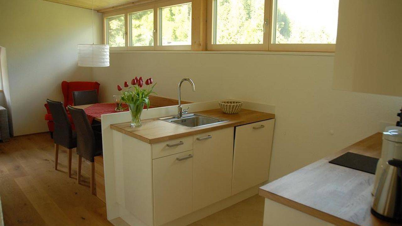 Geheel vakantieappartement, Vakantieappartement voor 6 personen met tuin in Schröcken, Bregenzerwoud