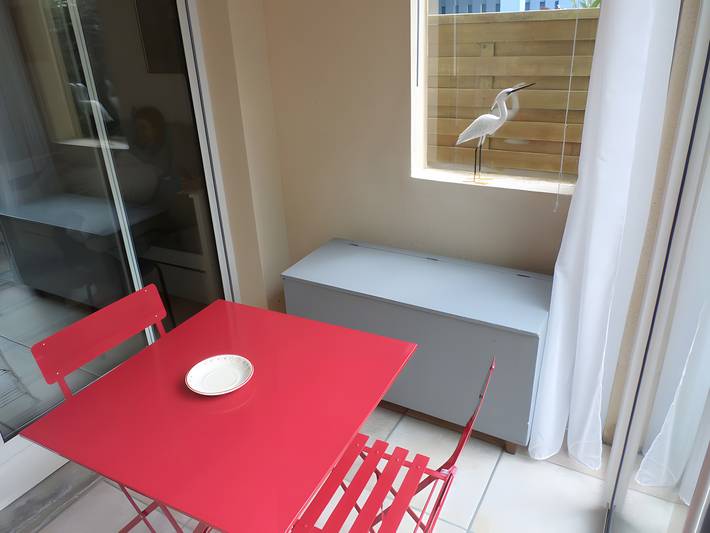 Gîte pour 3 personnes, avec jardin dans Plage Kerleven - 4