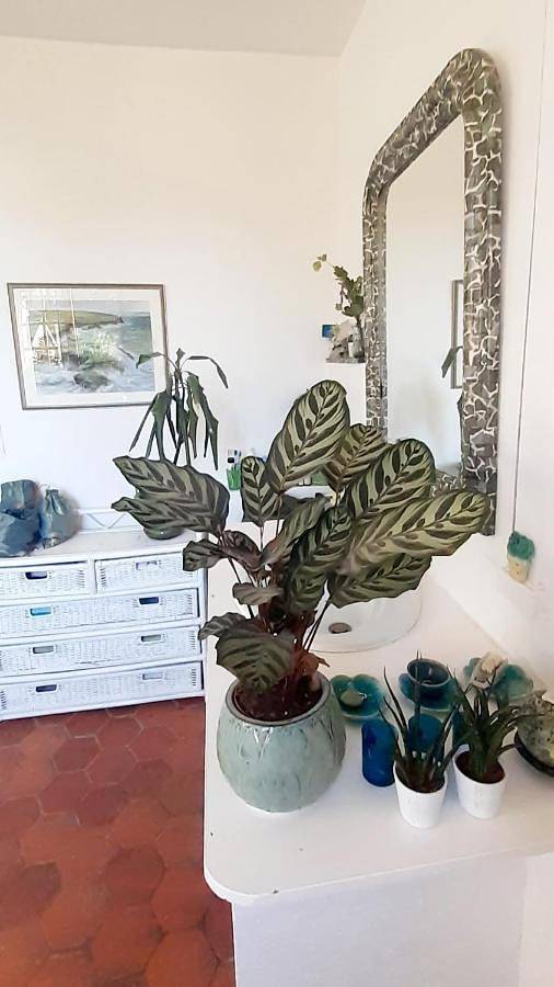 Location de vacances pour 2 personnes, avec jardin et vue, animaux acceptés à Saint-Saëns (Seine-Maritime) - 3