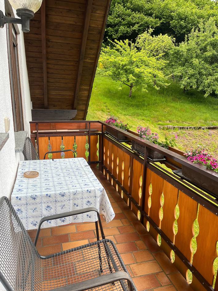 Ferienwohnung für 3 Personen, mit Balkon und Garten in Bad Rippoldsau-Schapbach - 3