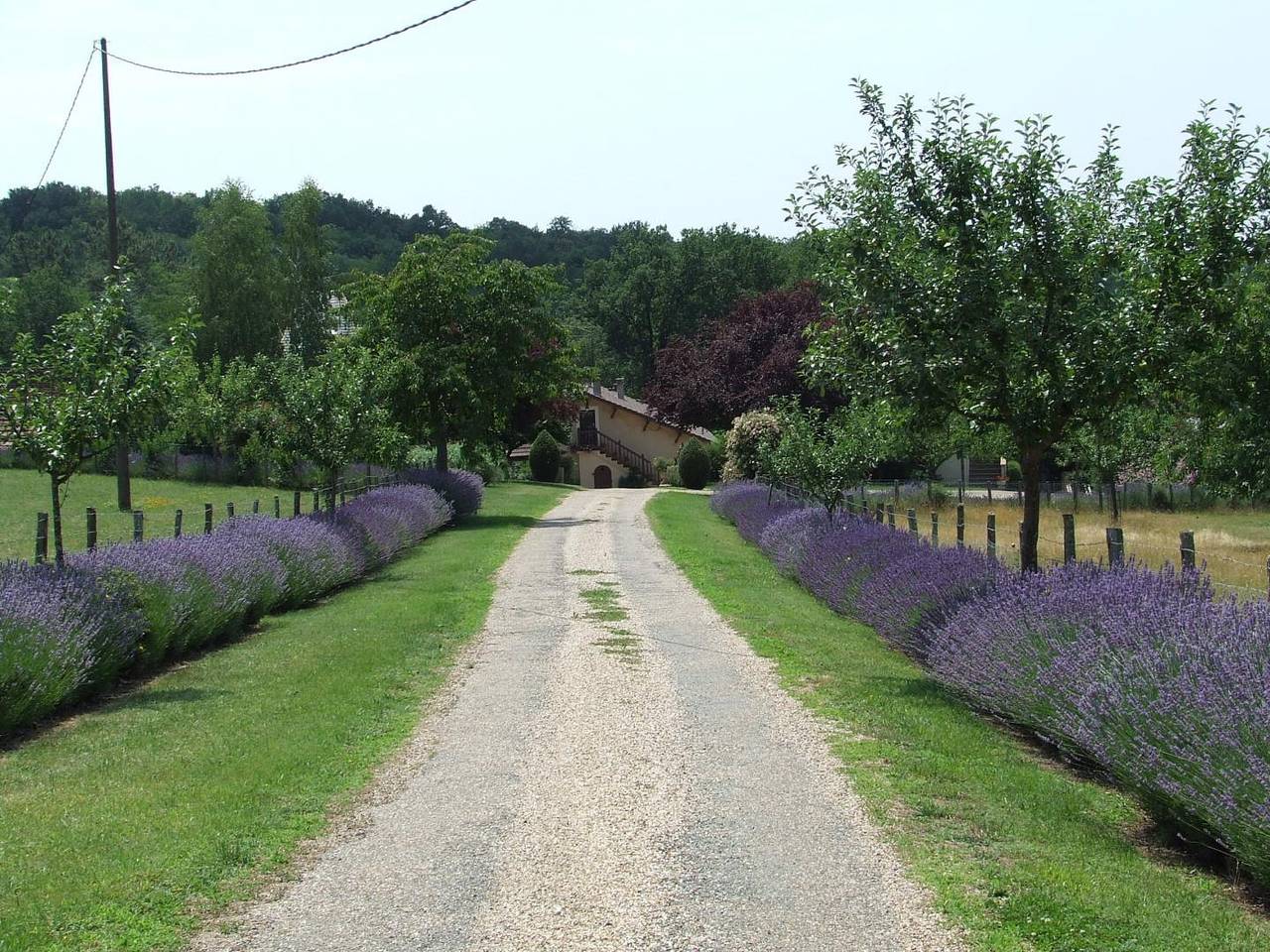 La Tour-Les Lavandes in Le Bugue, Périgord Noir