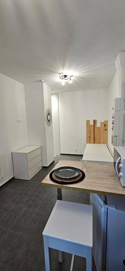 Appartement entier, One-Bedroom Apartment in Roanne, Région de Roanne