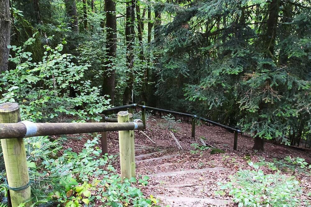 Entire apartment, Apartment Leonie Duplex F4 in La Vôge-les-Bains, Épinal region