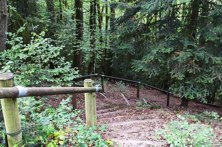 Gîte pour 7 personnes, avec sauna dans Bains-les-Bains - 4