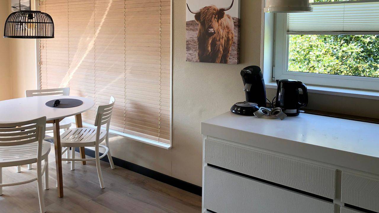 Ferienhaus für 3 Personen (50 m²) in Noordwijk aan Zee in Noordwijk (Holanda Meridional), Mar del Norte Holanda