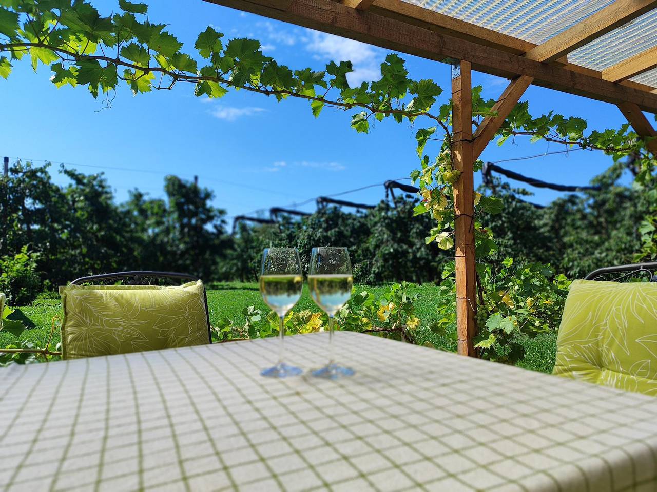 Ganze Ferienwohnung, Ferienwohnung Hopfenblüte - Ferienwohnung mit Panoramablick, Privatterrasse und W-Lan in Eriskirch, Region Bodensee-Oberschwaben