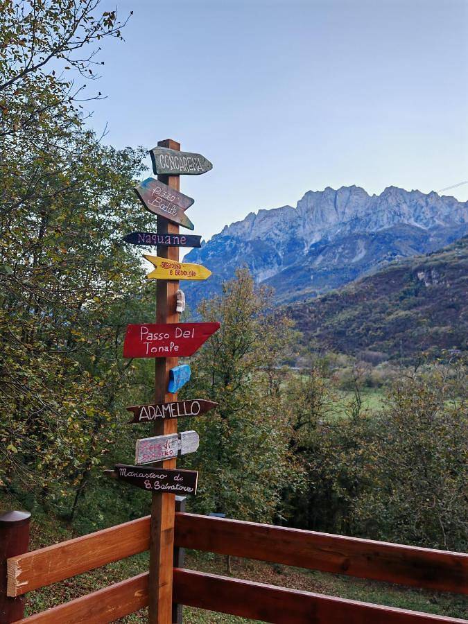 Location de vacances pour 5 personnes, avec jardin et vue, animaux acceptés à Capo di Ponte - 4