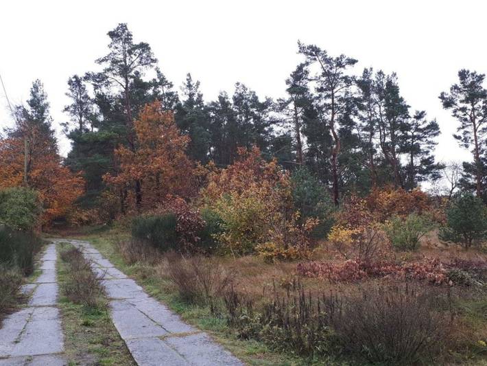Ferienwohnung für 3 Personen, mit Terrasse und Garten, kinderfreundlich in Bodstedt