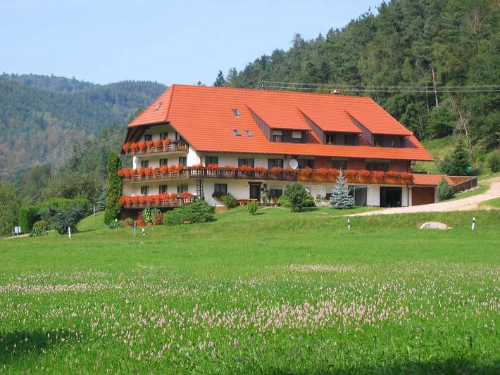 Ganze Ferienwohnung, Mosertonihof - Doppelzimmer 2 mit Wc und Dusche , 1 - 2 Personen in Elzach, Mittlerer Schwarzwald