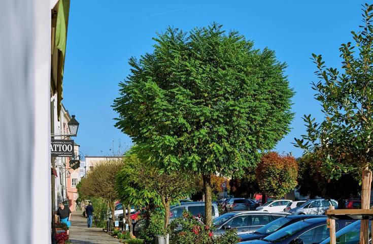 Ferienwohnung für 4 Personen, mit Balkon in Tittmoning - 3