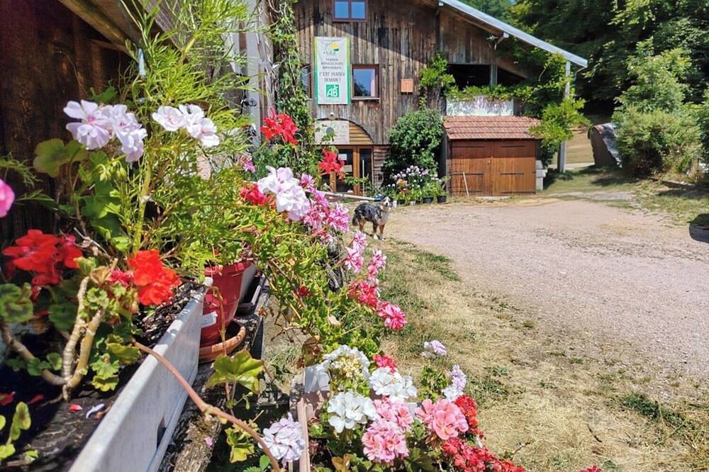 Gite à la Ferme in Le Tholy, Région d'Épinal