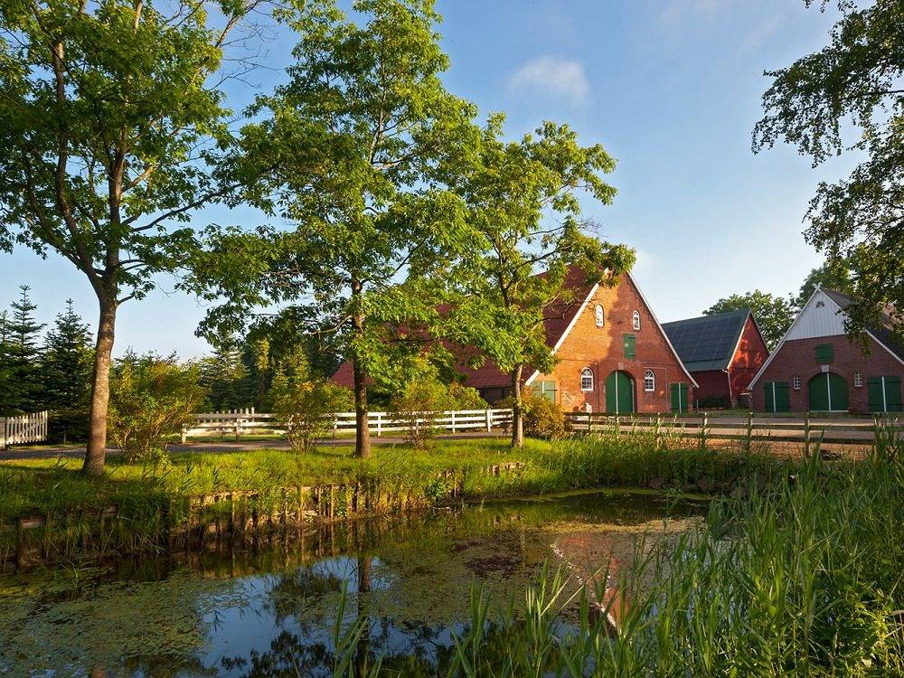 Nordseeferienhof Lafrenz - Robbenbank in Cuxhaven, Cuxland