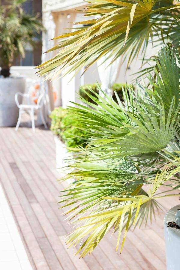 Hotel Conchiglia in Cervia, Ravenna Provinz