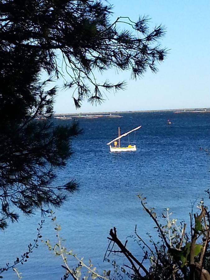 Chambre d’hôte pour 4 personnes, avec vue sur le lac et jardin ainsi que piscine et vue à Marseillan - 4