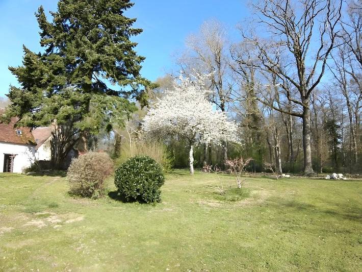 Location de vacances pour 3 personnes, avec jardin dans Sologne - 3