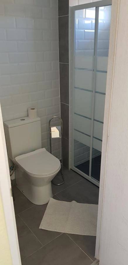 Maison d’hôte pour 2 personnes, avec jardin et piscine, animaux acceptés à Palma de Majorque - 3