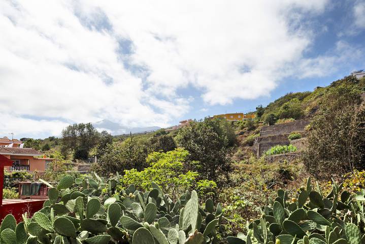 Ferienhaus für 4 Personen, mit Haustier auf Teneriffa - 4