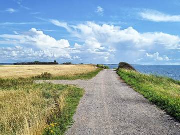 Ferieudlejning til 4 Personer i Karrebæksminde, Sydvestsjælland, Billede 3