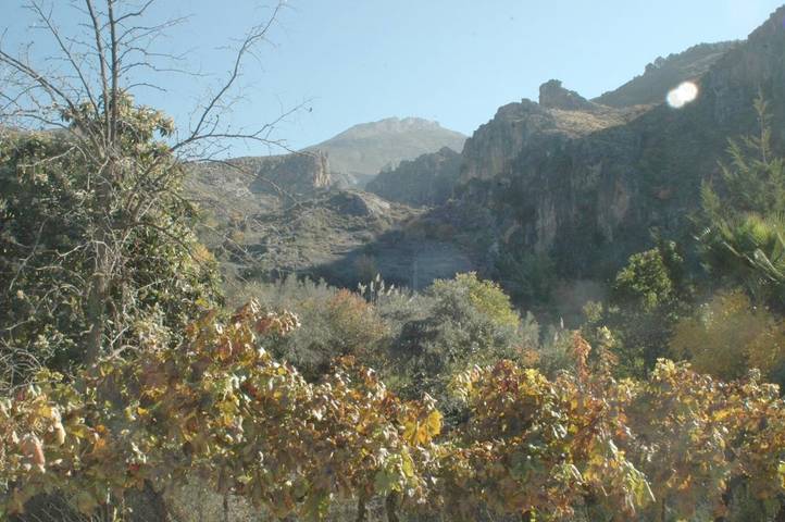 Casa rural para 5 personas, con balcón y vistas en Vega de Granada - 4