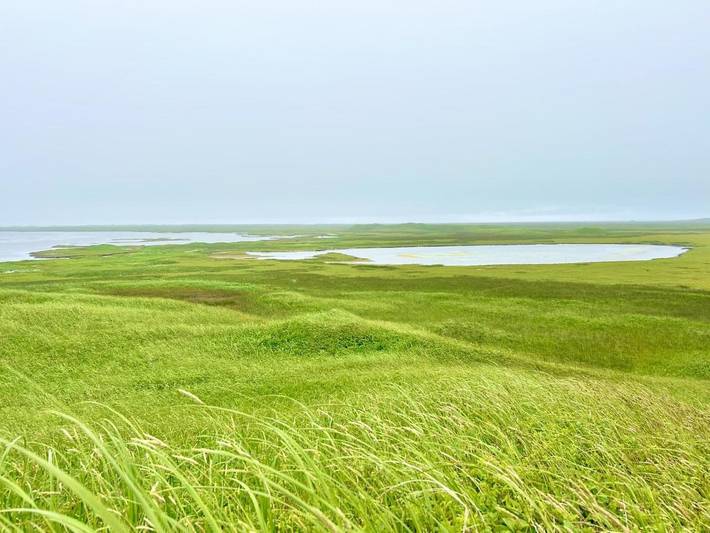 Location de vacances pour 3 personnes, avec jardin et vue dans Saint-Pierre und Miquelon - 4