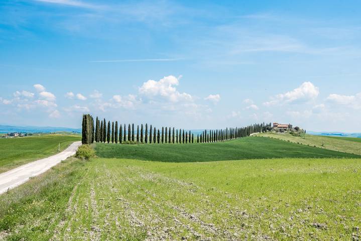 Ferienwohnung für 8 Personen, mit Garten, mit Haustier in der Toskana - 3