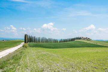 Vakantieappartement voor 8 Personen in Monteroni d'Arbia, Provincie Siena, Afbeelding 2