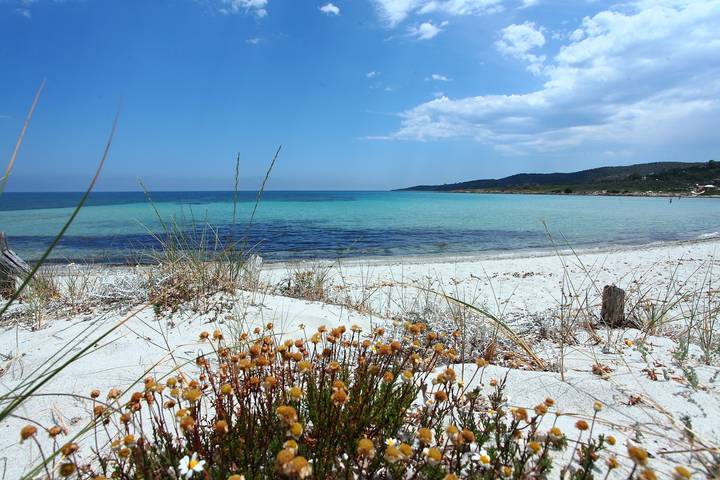 Apartamento entero, Maestrale Flat in Pittulongu, Olbia