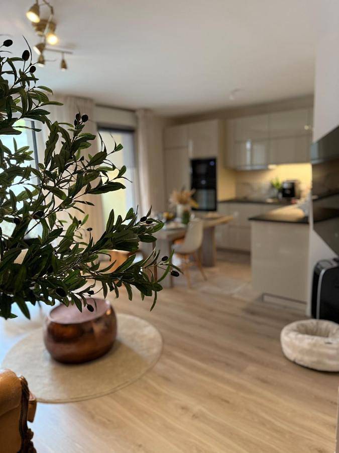 Appartement entier, Malakoff - 3 pièces avec terrasse in Malakoff, Hauts-de-Seine