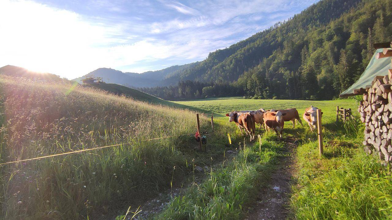 Apartamento de férias inteiro, Ferienwohnung für 2 Personen (40 m²) in Schneizlreuth in Alpes de Chiemgau, Schneizlreuth