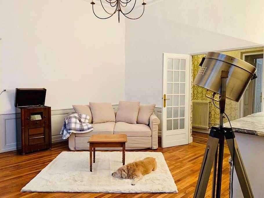 Appartement entier, One-Bedroom Apartment in Senones, Saint-Dié-des-Vosges