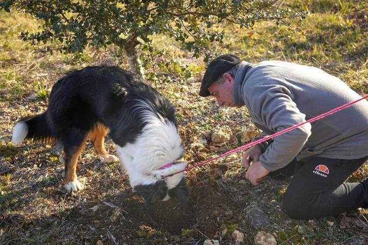 Location de vacances pour 5 personnes, avec piscine ainsi que jardin et vue, animaux acceptés à Sorges - 3