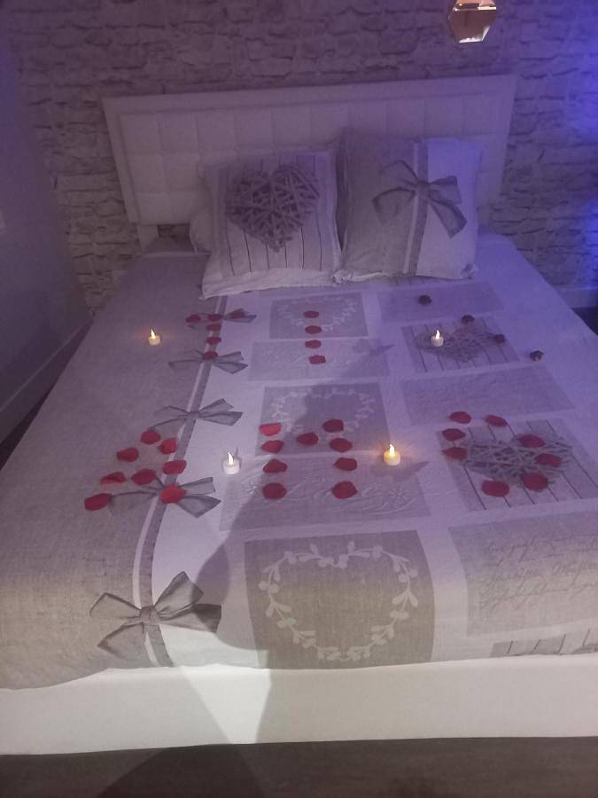 Gîte pour 2 personnes, avec jacuzzi, animaux acceptés à Levroux - 4