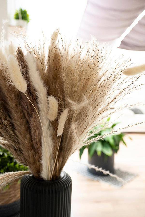 Location de vacances pour 7 personnes, avec jardin à Romorantin-Lanthenay - 4