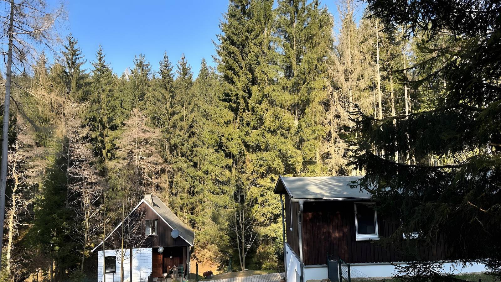 Holiday Home for 5 Guests (60 m²) in Friedrichroda in Leinatal, Rennsteig