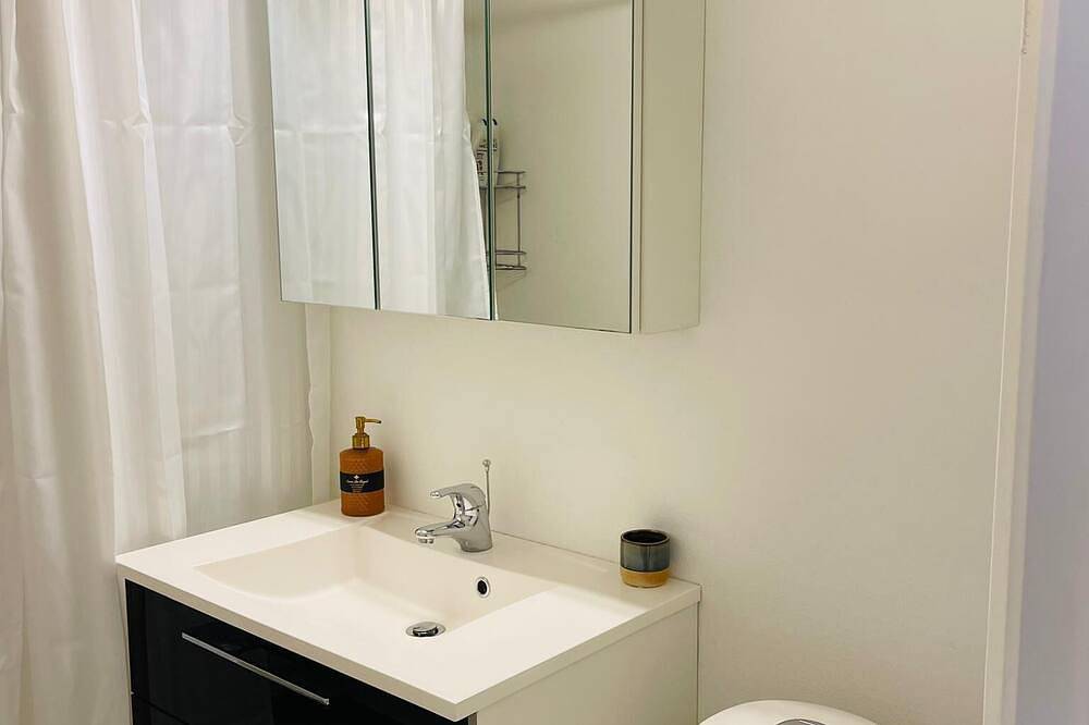 Ganze Wohnung, One room apartment in Hvidovre, Hovedstaden