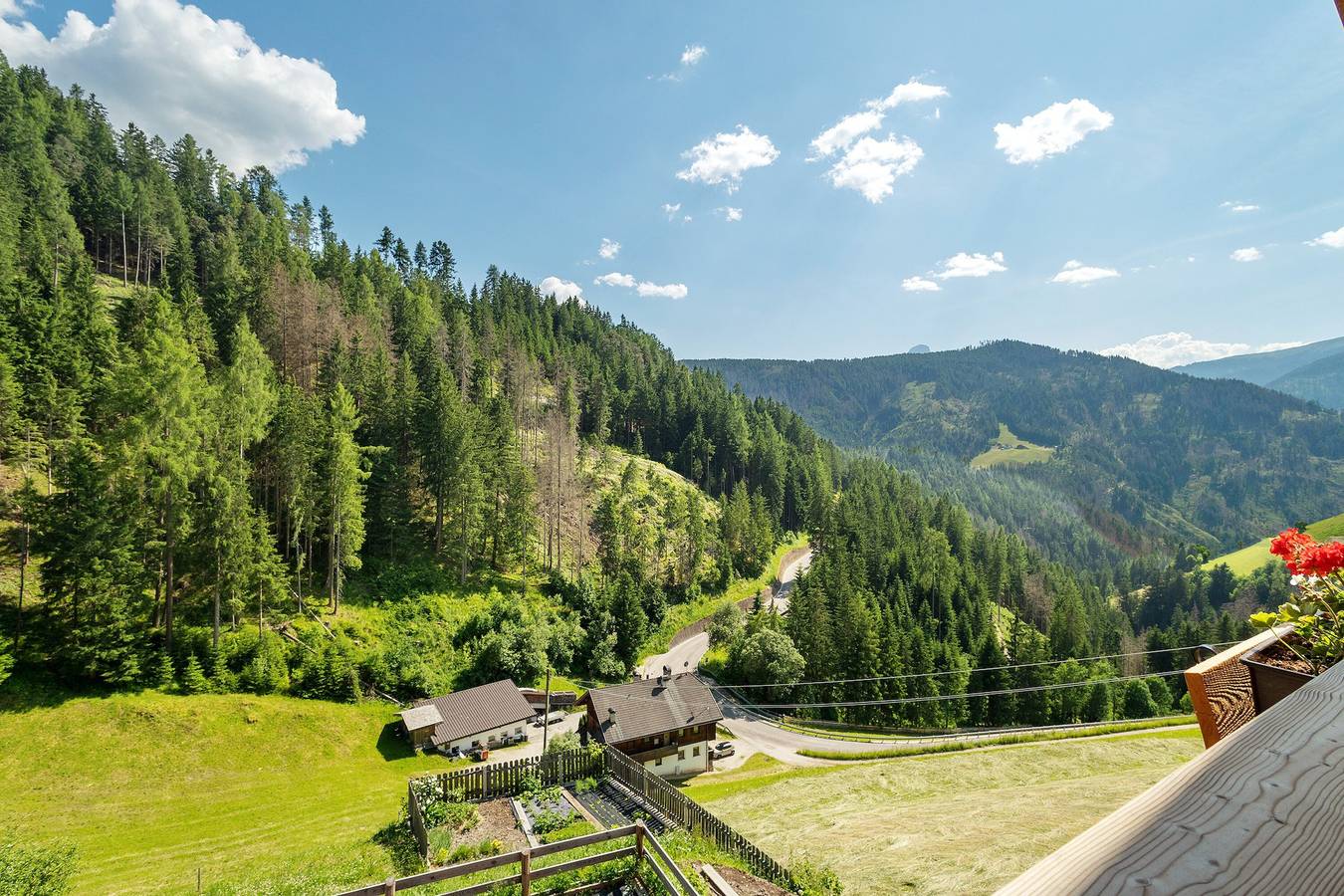 Ganze Wohnung, Ferienwohnung 'Lü Da Plazores Falc' mit Bergblick, Gemeinschaftsgarten und Wi-Fi in Pieve di Marebbe, Enneberg
