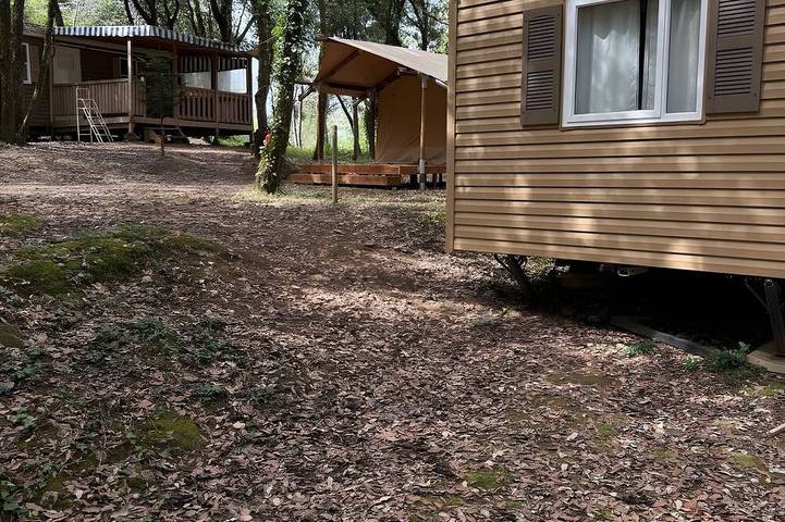 Mobil home pour 5 personnes à Calviac-en-Périgord - 3
