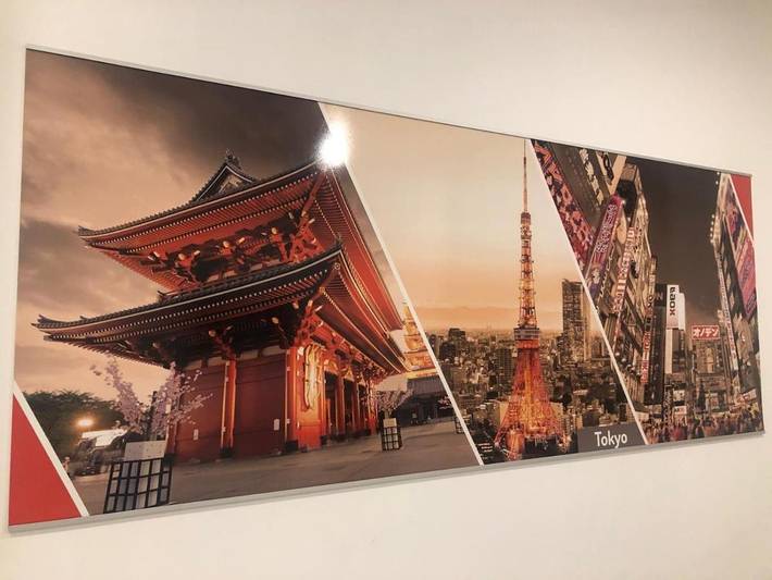 Chambre d’hôte pour 4 personnes, avec jardin, animaux acceptés à Somma Lombardo - 3