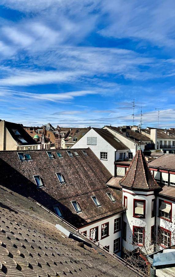 Ganze Wohnung, City Center Rooftop Balcony-Studio at town hall in Basel 1 Rüdengasse, Basel