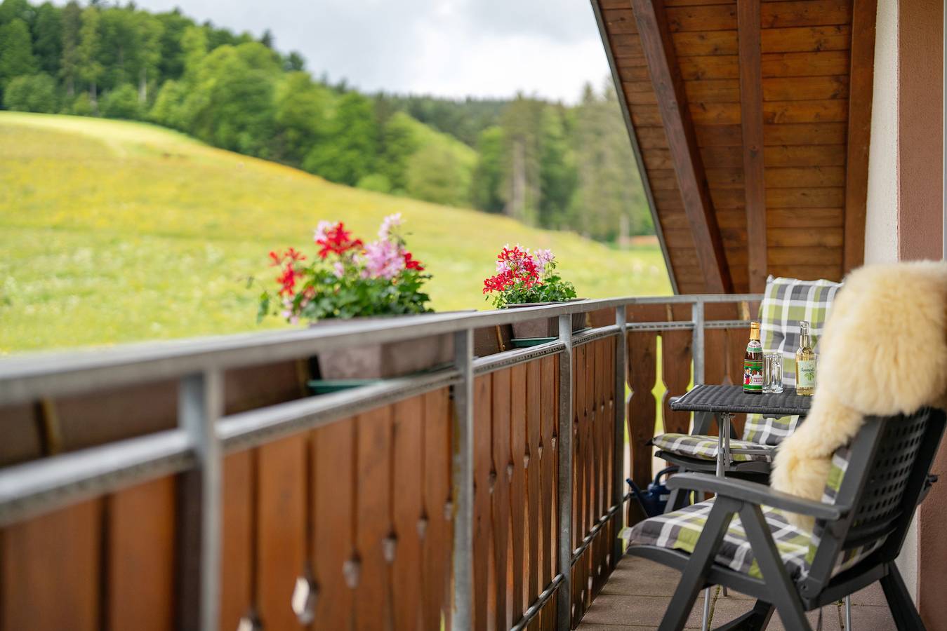 Ganze Wohnung, Ferienwohnung 'Vogelsang' mit Gemeinschaftsgarten, Balkon und Wi-Fi in Sankt Peter, Südschwarzwald